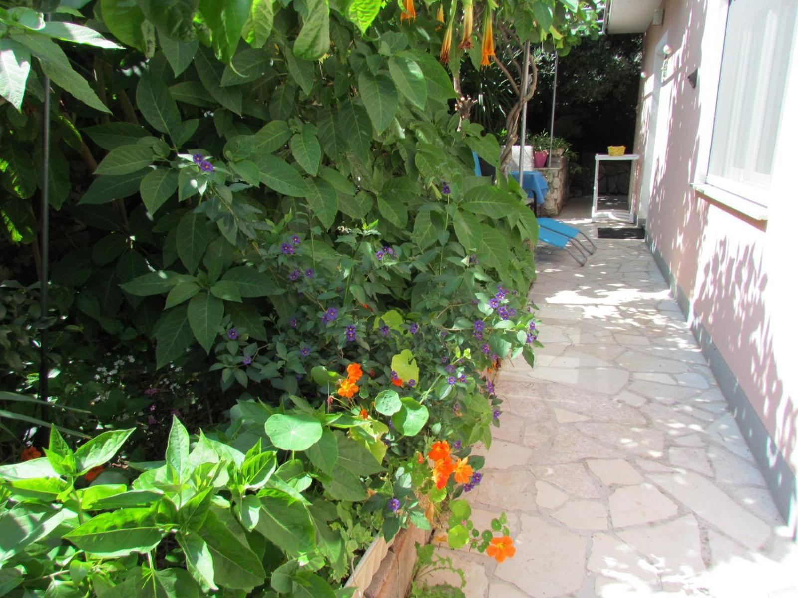 Apartments Bura & Jugo, Cres, Without Stress Exterior foto